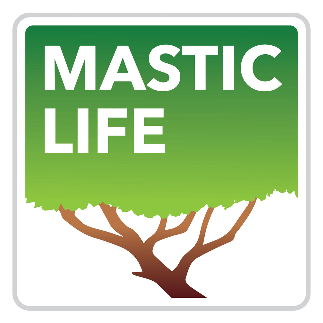 masticlife chios masticha