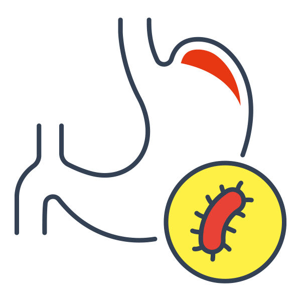 Helicobacter pylori infekcia