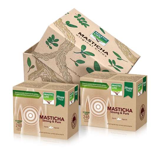 Masticha Strong&Pure Economy Double Pack (480 kapsúl) Masticlife box